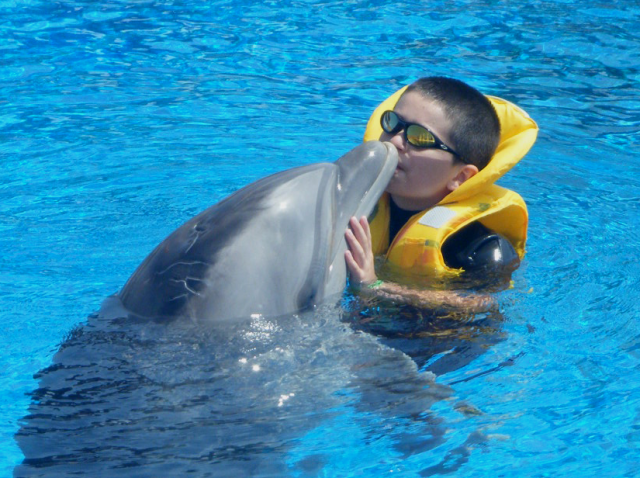 Delfiny pomagają podopiecznym Fundacji Rosa