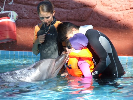 Delfiny przywracają dzieciom uśmiech!